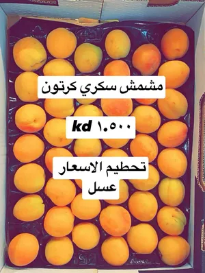 ‏خضار وفواكه‏2