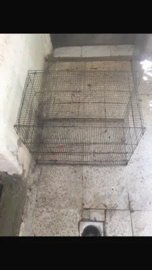 للبيع عدد 3