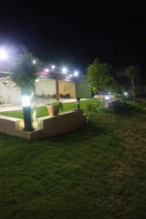 كافي ارقيلة للبيع