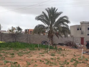 أرض للبيع عين زارة 872 متر