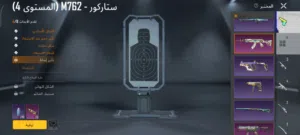 Pubg Accounts and Characters for Sale in Tripoli