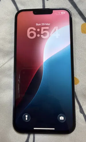 iPhone 13 pro max