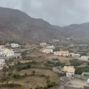 ريان زهراني