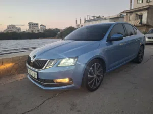 Skoda . Octavia . 2019 . Used1
