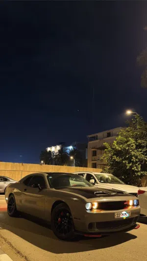 Used Dodge Challenger in Basra