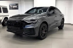2019 Audi Q8