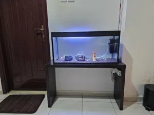 complete aquarium with stand