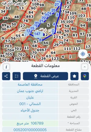 107 دونمات جنوب عمان للاستثمار و الإفراز