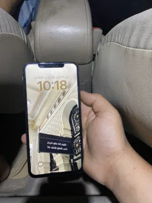 اكس إس ماكس