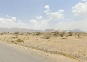 للبيع ارض سكني تجاري، فرصتك للاستثمار في الجفنين!