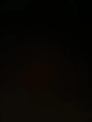 نينتيندو للبيع