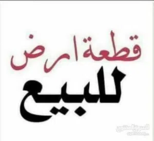 Farm Land for Sale in Basra Al-Jazzera