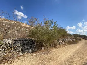 الاستخدام المتعدد . 597 م٢ . المالك1