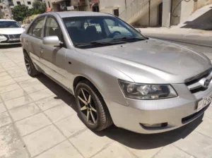 سوناتا الدب