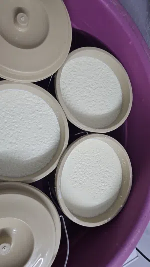 خاثر غنم خاثر طازج شغل اليوم