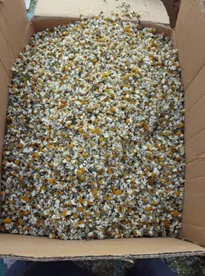 للبيع شركة مواد غذائية وخضار وفاكهة و مشروبات تابعة اماره دبي