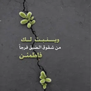 فواز المقطري المقطري