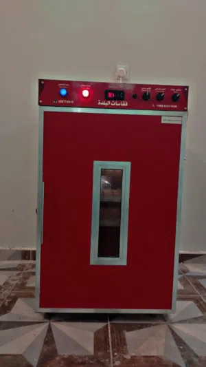 فقاصه البلده للبيع