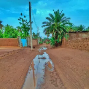 الفرزدق الفرزدق