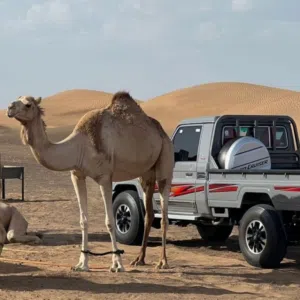 المعمري 