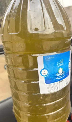 زيت زيتون غرياني