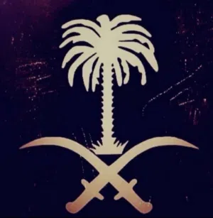 عيسى عامري 