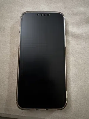 Apple iPhone 13 Pro Max 256 GB in Muscat