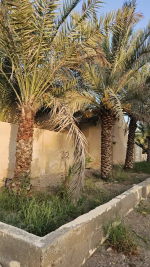 منزل للإيجار  في مجز الكبرى