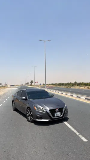 التيما 2019