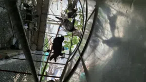 حمام بصحة ممتازه للبيع