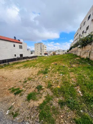Residential Land for Sale in Amman Shafa Badran