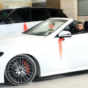 حمدي ابو اسماعيل 