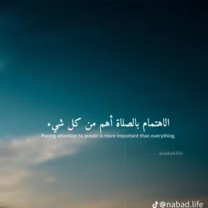 متجر ابو شهاب 