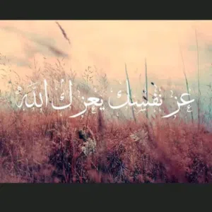 مستخدم الحساب 