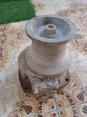 راس ويش للبيع
