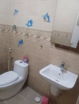 Single available for rent