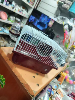 قفص هامستر يتسع الى زوج صغار الهامستر كبير