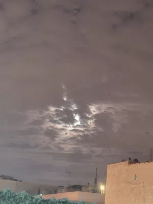مشاري محمد عايش 