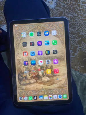 ايباد ميني 6