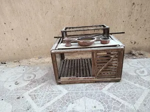 مصيده حمام ويمام