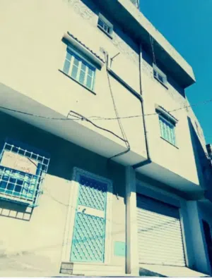 ستوديو . ٣ حمّامات . 300 م٢2