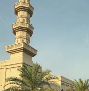 محمد 