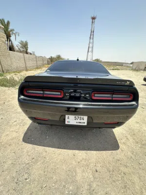 Used Dodge Challenger in Ajman