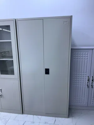 Sleet Cupboard 2 door For Sale