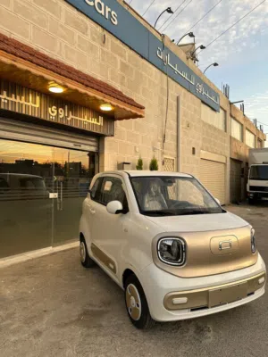 Bestune Pony Mini-EV 2024