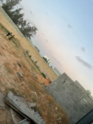قطعه ارض عين زاره