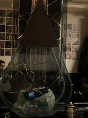 حوض سمك مميز