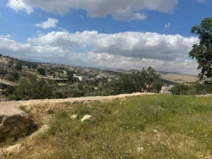 Residential Land for Sale in Zarqa Al-Alouk