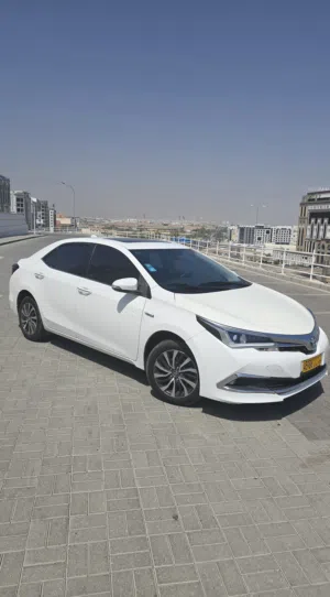 Used Toyota Corolla in Muscat