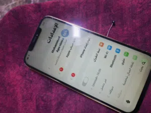 Apple iPhone 12 Pro Max 256 GB in Amman